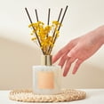 thumbnail image 3 of COCORRÍNA  Warm Vanilla Reed Diffuser Set, 3 of 6