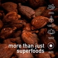 thumbnail image 3 of KOYA Cacao En Polvo 500 g | Sabor Intenso | Cacao en Polvo Puro 100% | Sin Az&uacute;cares A&ntilde;adidos | Sin Gluten | Vegano Y Keto | Para Bebidas, Reposter&iacute;a Y Cocina Salada |, 3 of 7