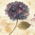thumbnail image 3 of Hristova, Albena 20x20 Black Modern Framed Museum Art Print Titled - Abundant Hydrangea II, 3 of 5