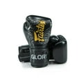thumbnail image 3 of Fairtex X Glory Kickboxing Competition and Training Boxing Gloves -BGVG3, 3 of 3
