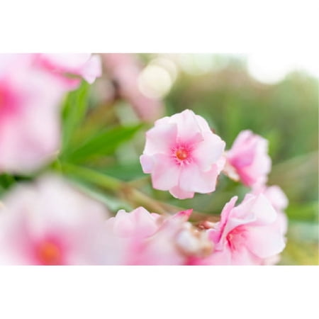 TAMRON(タムロン) カメラレンズ 35-150mm F/2-2.8 Di III VXD（Model A058Z）    ［ニコンZ /ズームレンズ］ [振込不可][代引不可]