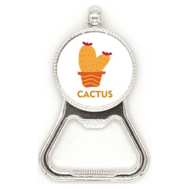 Planta cactus suculentas maceta naranja Acero inoxidable Metal cerveza tapa sacacorchos