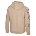 thumbnail image 3 of Men's Colosseum Tan LSU Tigers Big Break Raglan Hoodie, 3 of 3