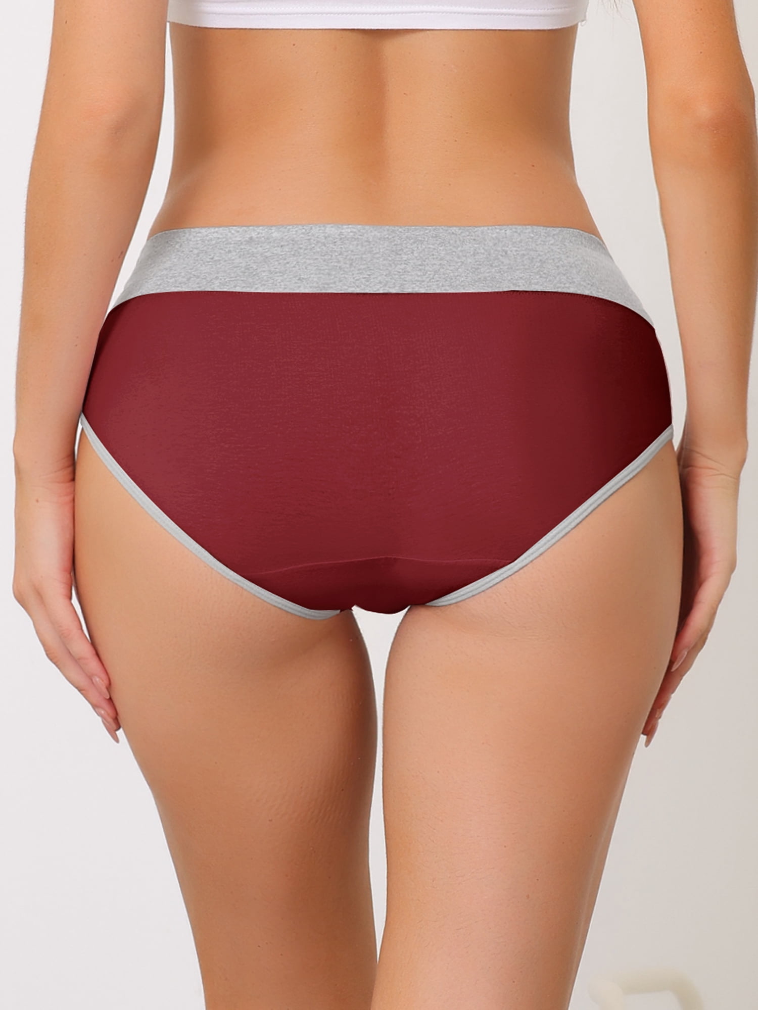 Unique Bargains Women's Plus Size 5 Packs Brief Stretchy Underwear Burgundy, Purple, Black, Blue, Dark Black S