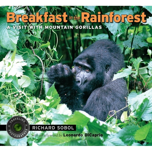 Pre-Owned Breakfast in the Rainforest: A Visit with Mountain Gorillas (Paperback) 0763651346 9780763651343