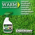 thumbnail image 3 of Endurant Green Again Pro Grass Paint Warm 16 oz, 3 of 5