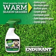 Endurant Green Again Pro Grass Paint Warm 16 oz