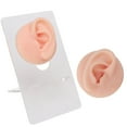 thumbnail image 1 of High Simulation Silicone Eye Model For Lifelike  Practice With Wide Application, Convenient Bracket, And Improved Skills, 1 of 8