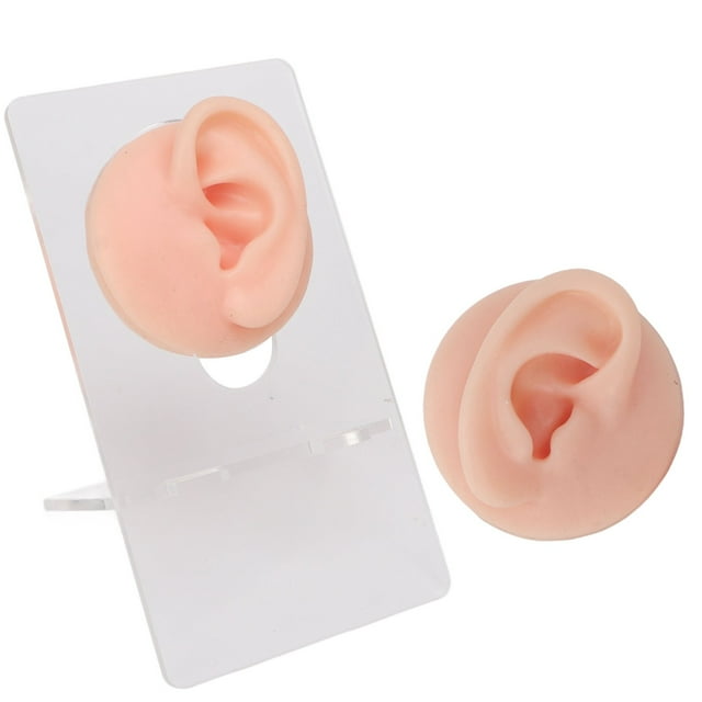High Simulation Silicone Eye Model For Lifelike Practice With Wide Application, Convenient Bracket, And Improved Skills
