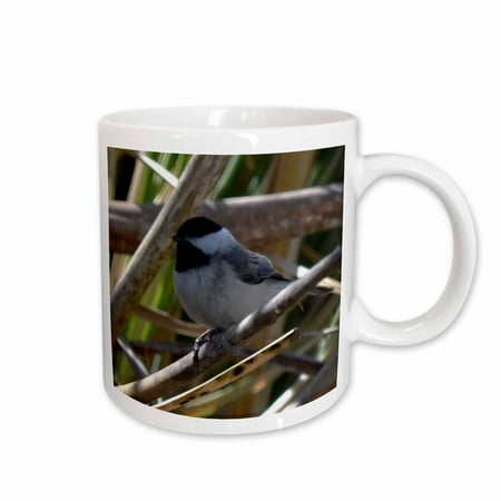 

3dRose Chickadee Bird Ceramic Mug 15-ounce