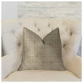 thumbnail image 2 of Plutus Emperor Gray and Beige Luxury Throw Pillow, 2 of 3