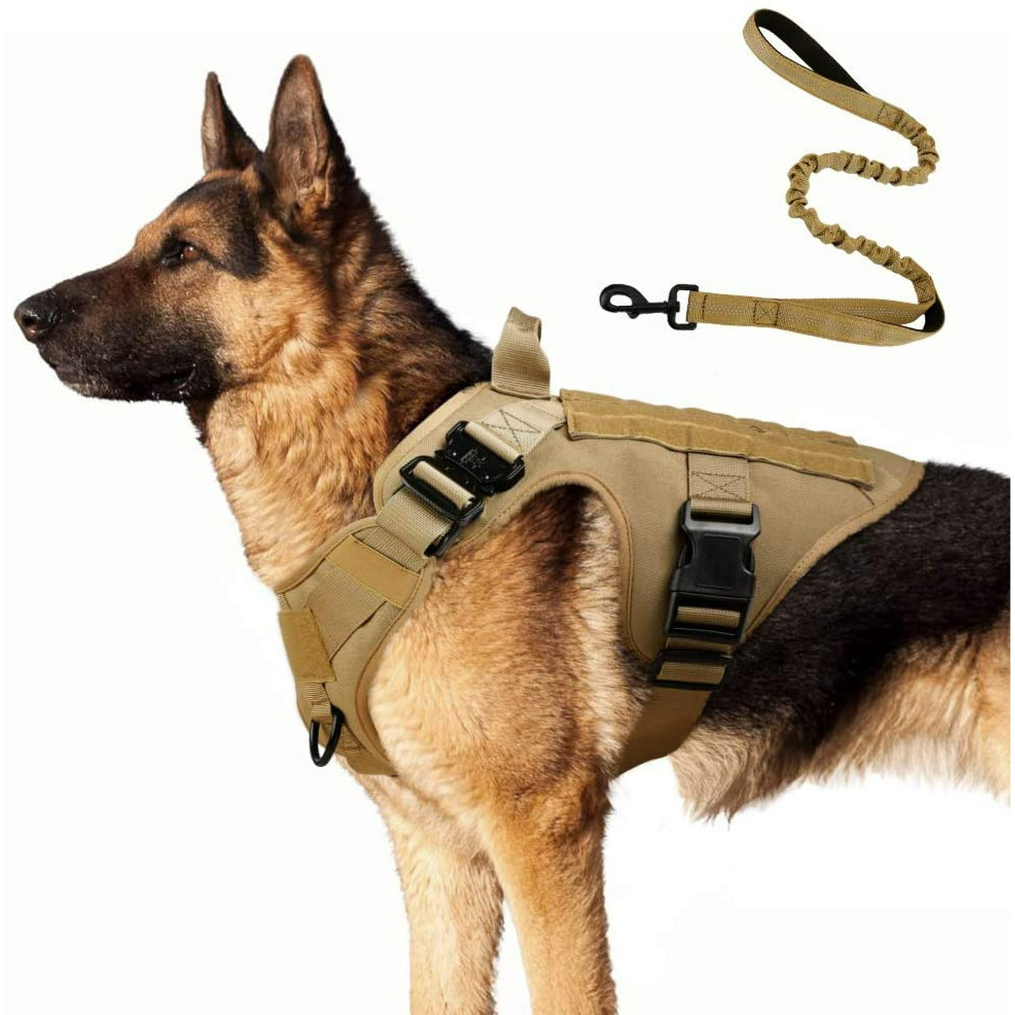 What Is The Average Girth Of A German Shepherd