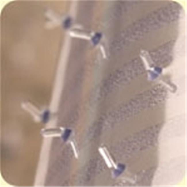 ES Robbins 110624 Clear Vinyl Carpet Runner