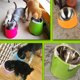 thumbnail image 5 of Lojalitet Cuenco inclinable para mascotas, perros y gatos, cuenco de comida, cuenco de acero inoxidable, cuenco para perros, cuenco para gatos, cuenco de arroz, 5 of 5