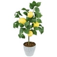 thumbnail image 3 of Northlight Artificial Potted Mini Lemon Tabletop Tree - 20", 3 of 6