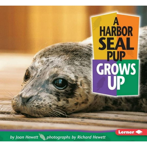 Baby Animals: A Harbor Seal Pup Grows Up (Paperback)