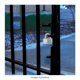 thumbnail image 3 of Candado Master Lock Laminado de 40 mm, 3 of 3