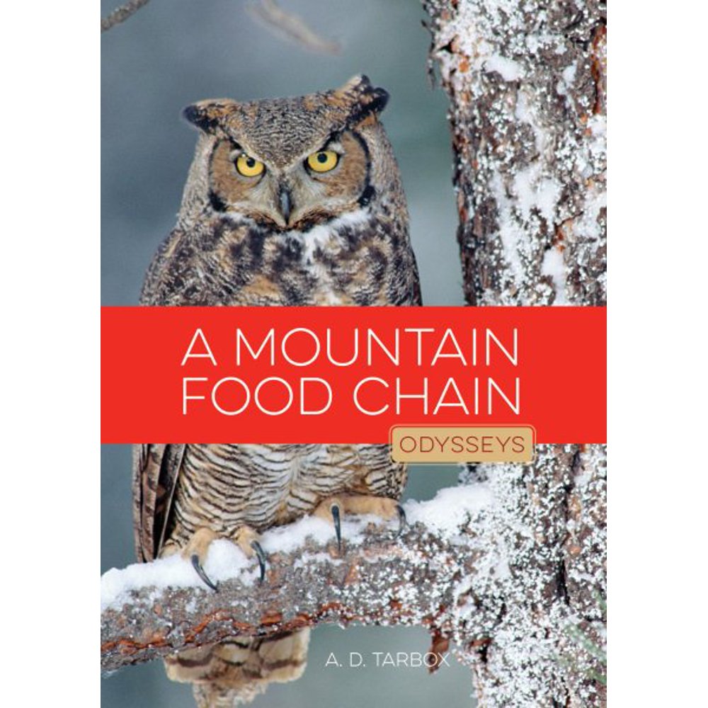 A Mountain Food Chain