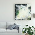 thumbnail image 3 of Trademark Fine Art 'Ascension Abstract I' Canvas Art by Lila Bramma, 3 of 3