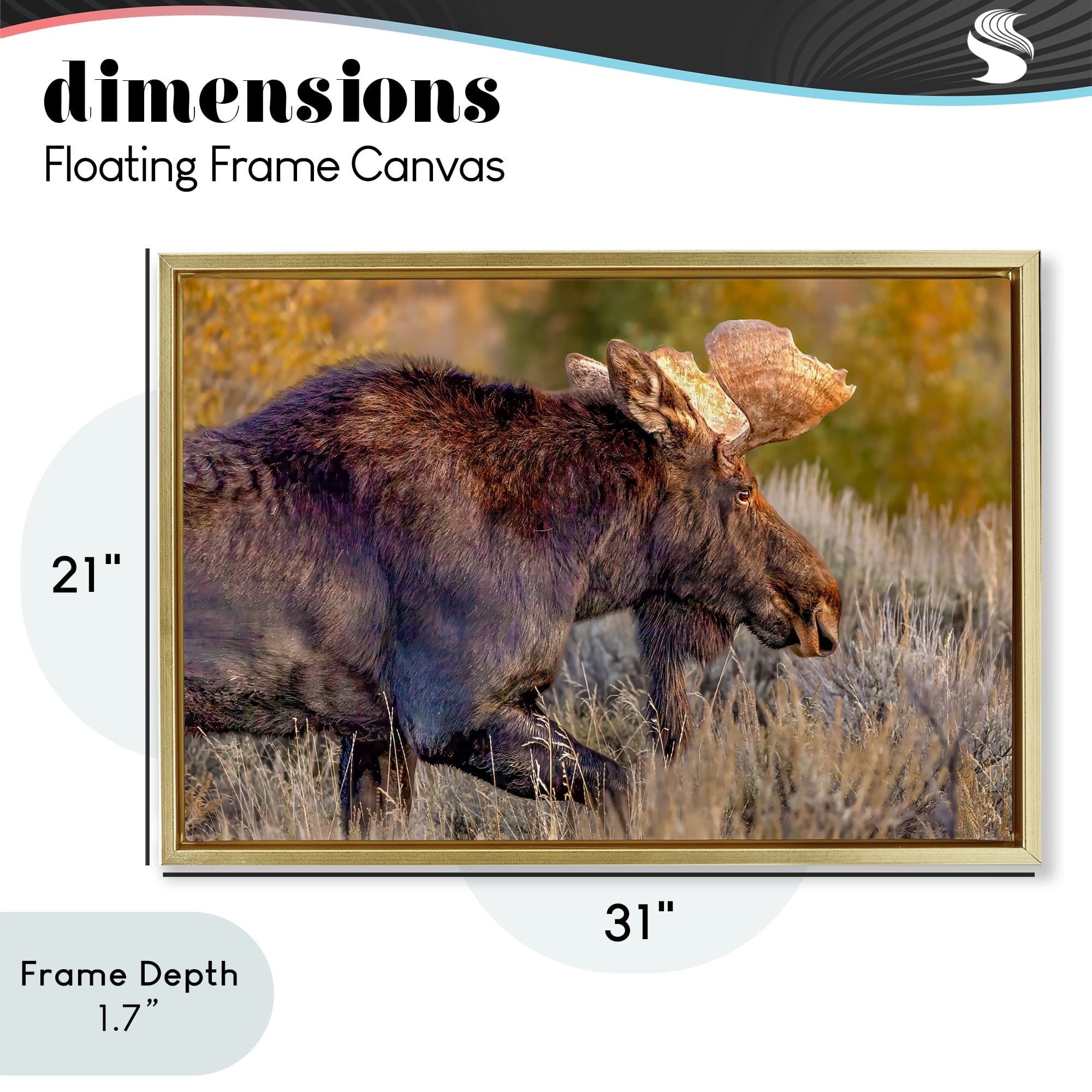 Stupell Industries Bull Moose At Dusk Gold Framed Floater Canvas Wall Art, design by Shelley Carlisle