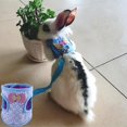 thumbnail image 3 of TUEUIO1，Flexible Rabbit Leash Harness Vest Comfort For Small Animal Guinea Pig Running - Snngv, 3 of 5