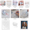 thumbnail image 3 of Paint by Numbers Kit for Adults, Brown Spaniel Blue Collar Portrait Paint by Numbers, Easy Paint by Numbers Kit for Adults Beginner, DIY Adult Paint by Number Kits on Canvas, Home Decor, 3 of 7