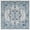 Ivory/Blue, variant on SAFAVIEH Tulum Rylie Traditional Area Rug, 8' x 10', Ivory/Black