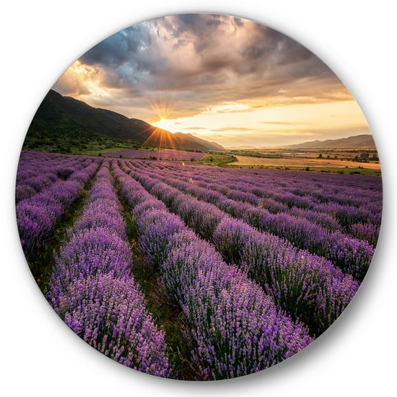 Designart 'Dramatic Clouds and Sunrise Over Lavender Field VI' Farmhouse Circle Metal Wall Art 36x36 - Disc of 36