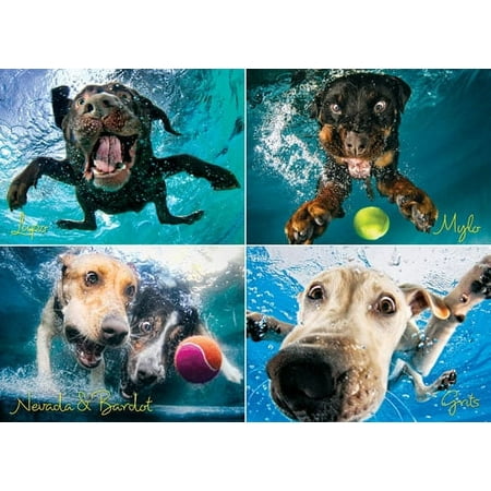 UPC: 0709786043101 | Willow Creek Press Underwater Dogs: Splash 1000-Piece Puzzle