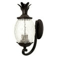 thumbnail image 2 of Acclaim Lighting - Lanai - Three Light Outdoor Wall Mount - 10 Inches Wide by, 2 of 2