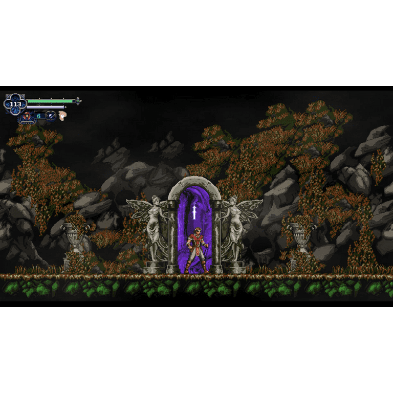Nintendo Switch Chronicles of the Wolf switch Amazon.com: Chronicles of the Wolf - Nintendo Switch : Video