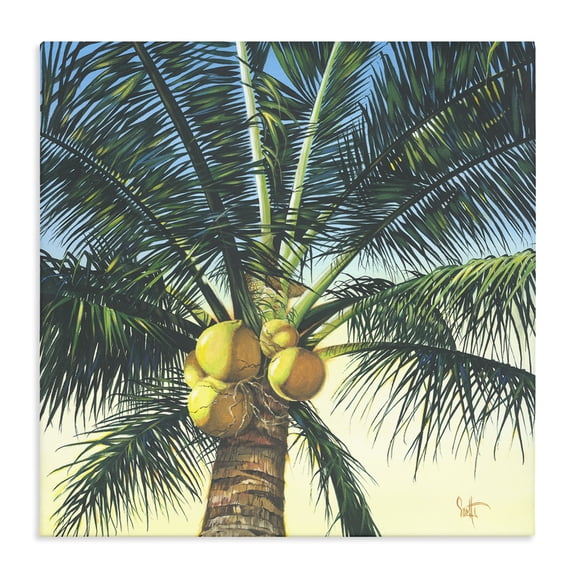 Stupell Industries Coastal Branching Out Palm Tree Canvas Art, 24 x 24, by Scott Westmoreland