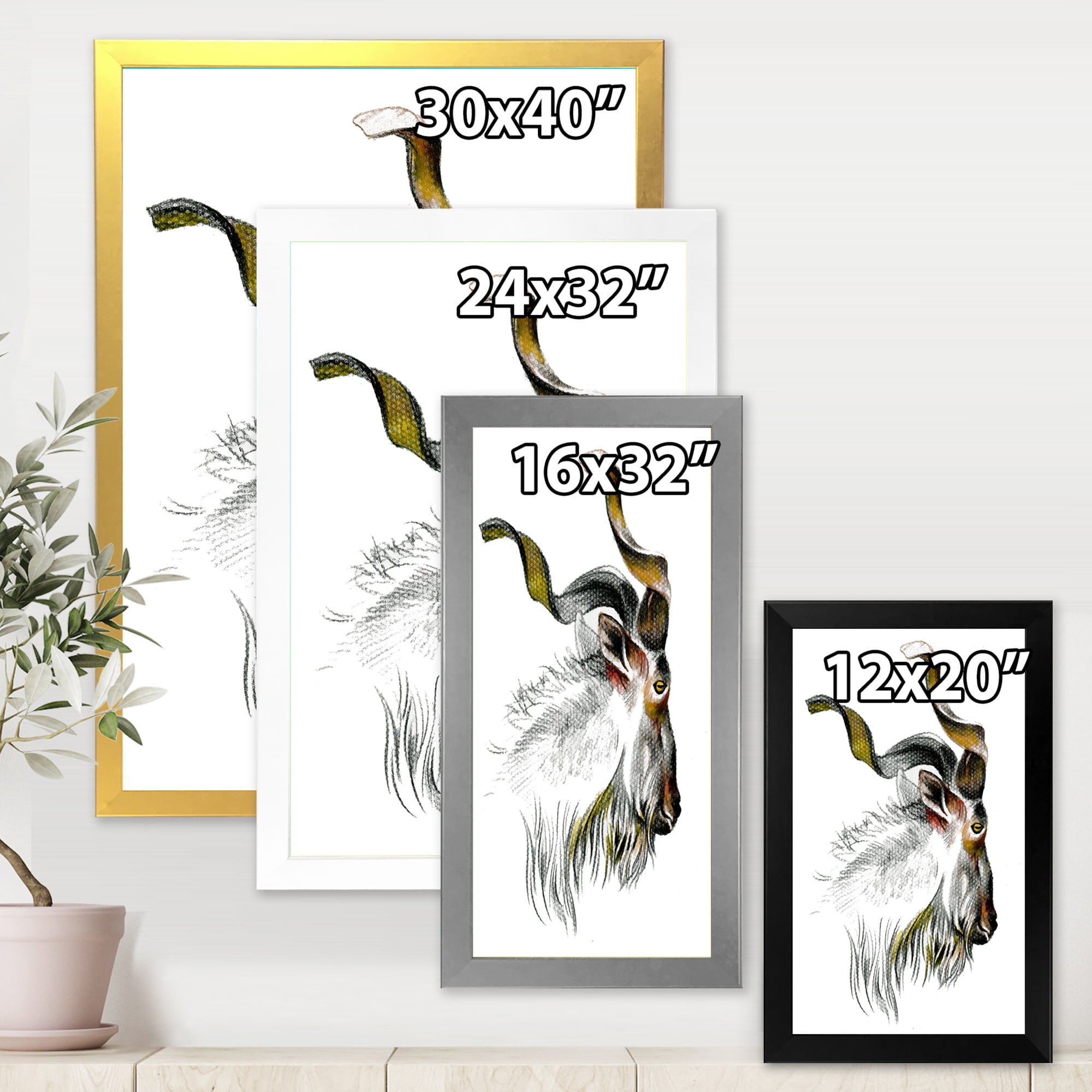 Designart 'Black and White Portrait Of Goat II' Farmhouse Framed Art Print