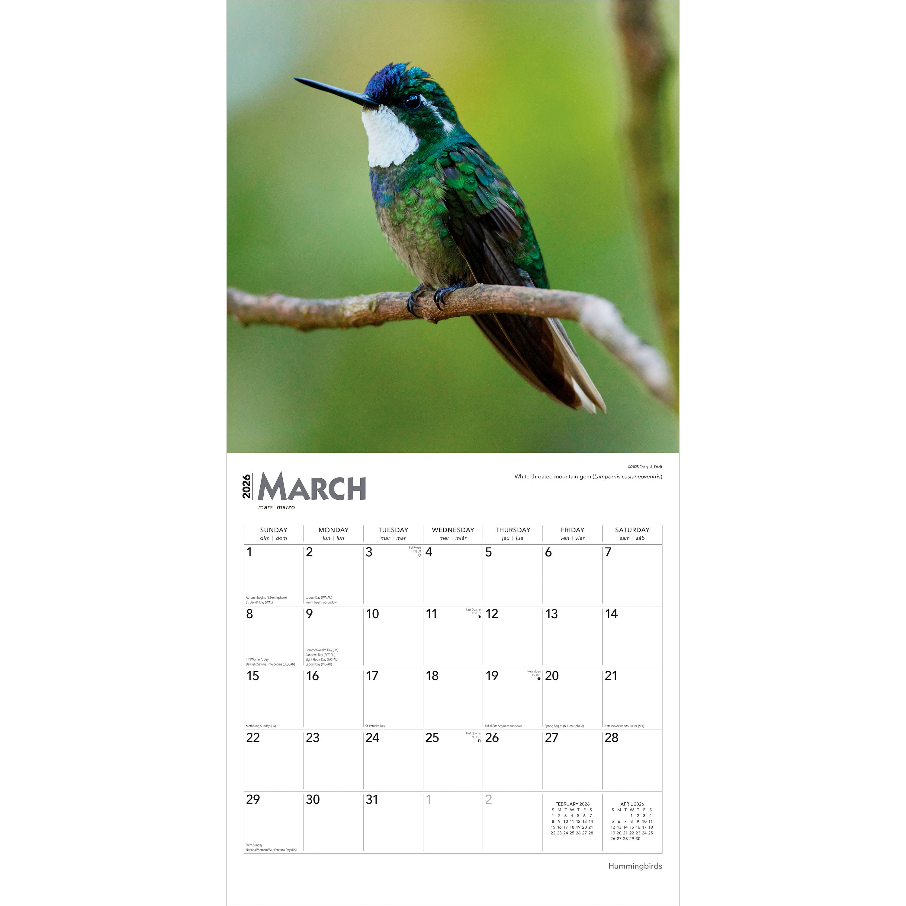 Colibris 2026 Carré DÉJOUER