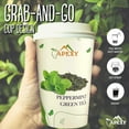 thumbnail image 3 of APEXY Premium Flavored Tea Herbal Tea - Tea Cups, 3 Favorite Tea Sampler, Loose Leaf Tea, Variety Pack with Peach Oolong, Lychee Black, Peppermint Green, 100% Natural Ingredients, 12oz Cups, 30 Counts, 3 of 7
