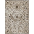thumbnail image 2 of Addison Rugs Chantille Indoor/Outdoor Traditional Global Beige Machine Washable Rectangle Rug, 10' x 14', 2 of 8