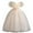 Style D#027 Champagne, variant on Girls Princess Gown Performance Girls Tulle Puff Sleeve Dress Embroidered Bodice Sequined Mesh Ball Gown Formal Princess Costume for Special Occasions Princess Dress Up for Girls 4-6 (Red 110)