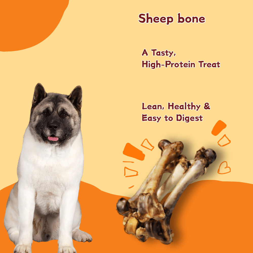 Tender Touch All-Natural Slow-Roasted Mutton Bones for Dogs, A Meaty and Wholesome Single Ingredient Chew for Dental Health, 6 Count