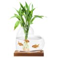thumbnail image 2 of Miangastore Hydroponic Glass Vase For Indoor Plants Water Propagation Station Terrarium Container With Wooden Base For Desktop Or Window Display, 2 of 9