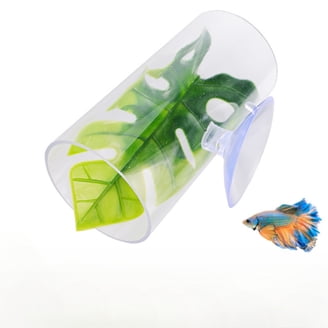 betta fish gel accessories Aqueon Pure Beads, Green : Everything Else Product SpecificationsMaterial Active Betta Training Floating Ring.