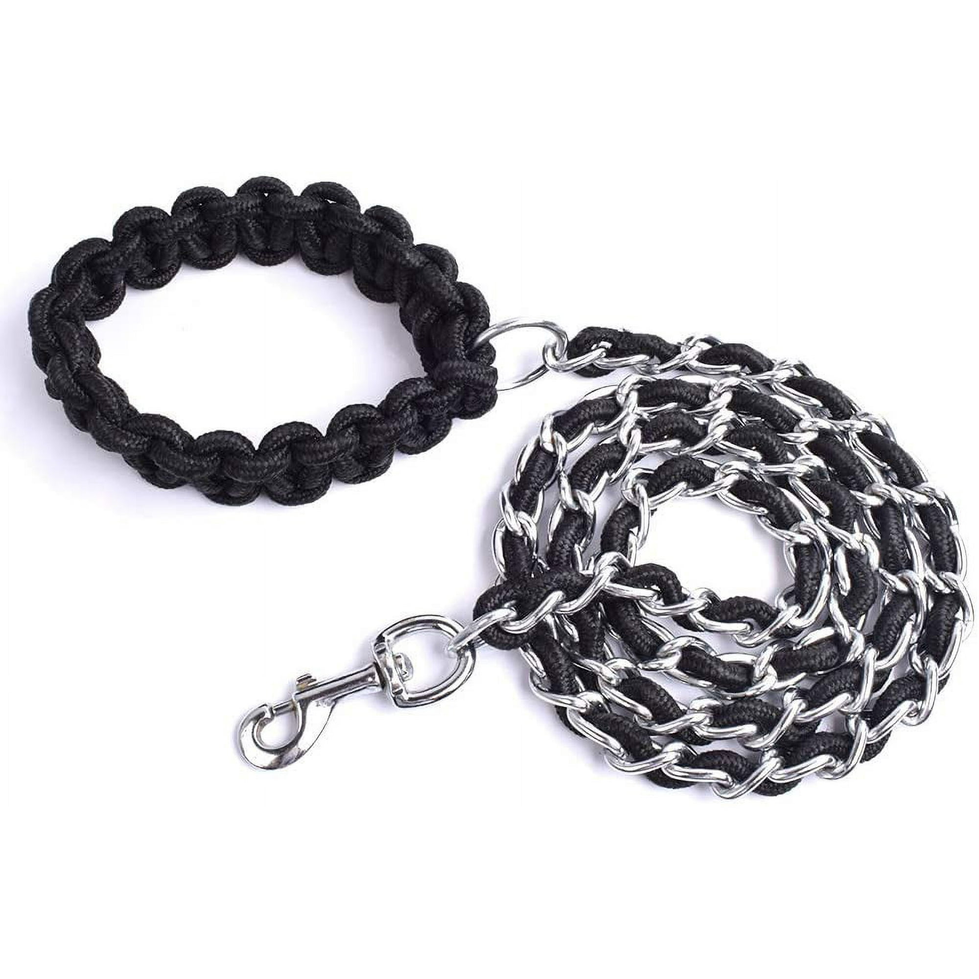 Dog leash chewy sale