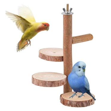 Bird Perch Stand Toy | Natural Wood Perch Bird Cage Branch Perch Accessories for Parrots, Parakeets, Cockatiels | Easy-to-Install Bird Resting Trees for Garden, Balcony, Patio