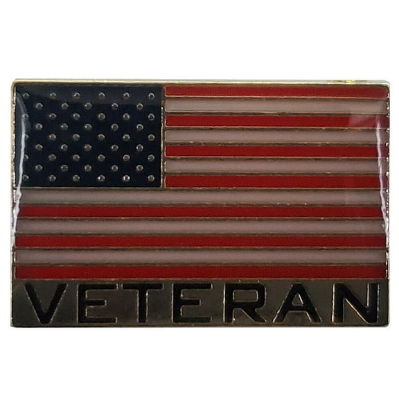 USA 50 Star Flag VETERAN Letters Motorcycle Hat Cap lapel Pin