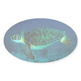 thumbnail image 1 of CafePress - Ocean Turtle Sticker - Sticker (Oval), 1 of 1