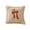 #_16, variant on MYUNNIL Halloween Pumpkin Throw Pillow Cover, Soft 3D Fall Pumpkin Embroidery Plush Velvet Couch Cushion, Farmhouse Seasonal Home Decor for Sofa Bedroom Patio Office, 18 x 18"