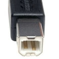 thumbnail image 3 of Tripp Lite Universal Reversible USB 2.0 A-Male to B-Male Device Cable - 6ft, 3 of 7
