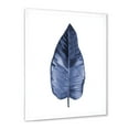 thumbnail image 2 of Designart 'Blue Leaf Watercolour On White Background' Traditional Framed Art Print, 2 of 4