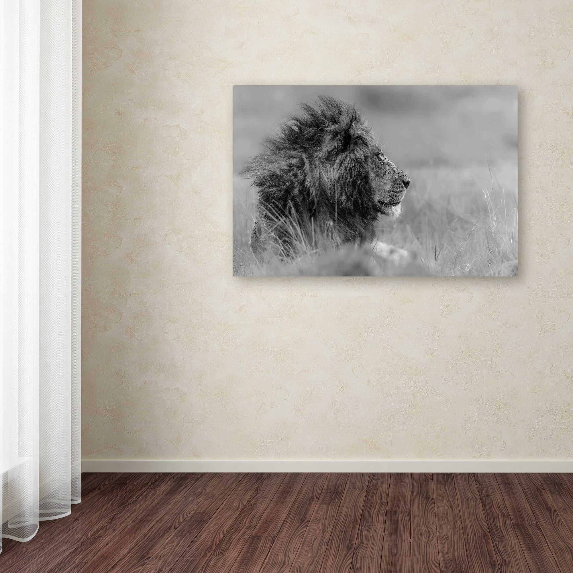 Trademark Fine Art 'The King Is Alone' Canvas Art by Massimo Mei
