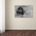 thumbnail image 3 of Trademark Fine Art 'The King Is Alone' Canvas Art by Massimo Mei, 3 of 3