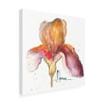 thumbnail image 2 of Trademark Fine Art 'Blooms Hermanas III' Canvas Art by Leticia Herrera, 2 of 4